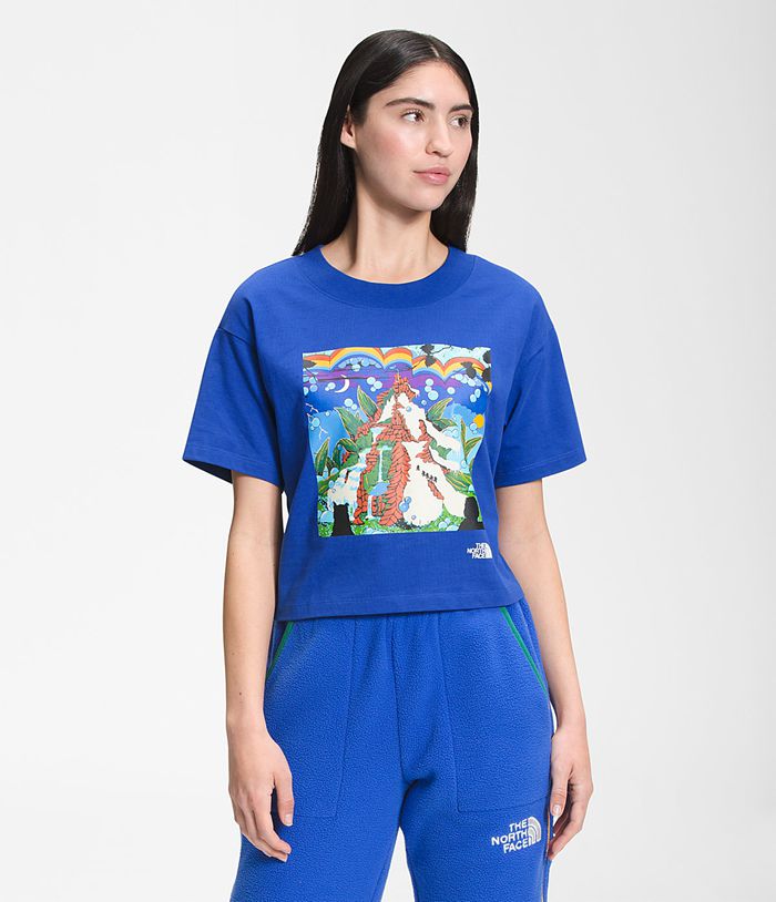 The North Face T-Shirts Short Sleeve Colorblock Cropped Blue - Womens - Thailand ICPVA-1527